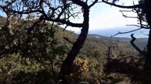 05.10.2020.  Сердце Шивы, а Дыхание Шакти.