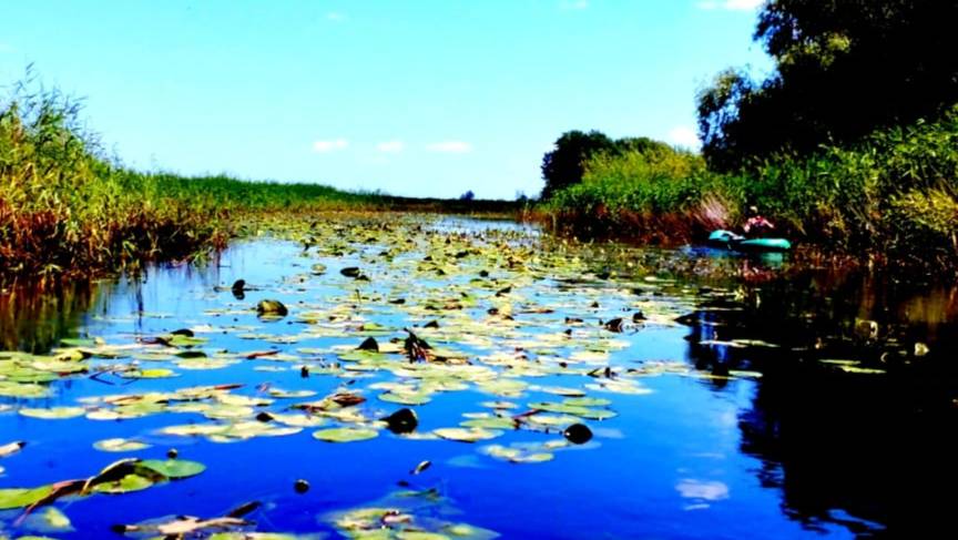 ПРОГУЛКИ ПО ВОДЕ в СКАЗОЧНОМ месте! НАША РЫБАЛКА  на лодках в поисках самых ЗУБАСТЫХ!!!