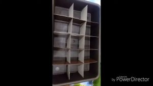 Выращивание туи . Как вырастить тую из семян в домашних условиях.