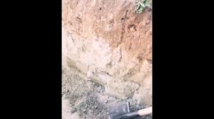 БОЛЬШОЙ ХАЛЯВНЫЙ БАССЕЙН ИЗ ДОСОК И ПЛЕНКИ СВОИМИ РУКАМИ