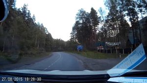 В кедровый остров. Алтай