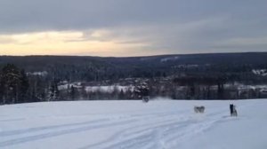 Паджеро дрифт на снежном поле.