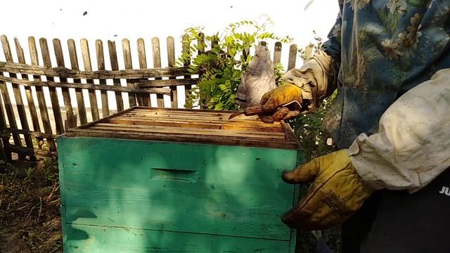 Как избежать роения на пасеке?Улей медовик, Пчеловодство смотреть онлайн