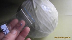 Самая Лучшая и Урожайная  Капуста "Агрессор" F-1 Никогда не Подведёт