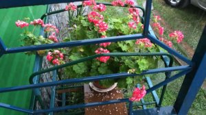 */*ПРИРОДА */*Погода в АЛТАЙСКОМ КРАЕ */* ГРАД */* ДОЖДЬ*/*