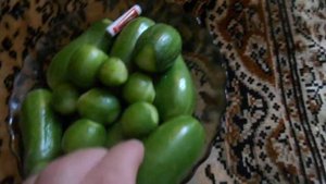 Огурчики для детей-чупа чупс,без шипые