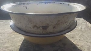 Как прорастить зерно для кур, уток, гусей. Пророщенное зерно