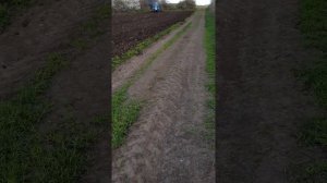 Мтз 80 с двигателем смд 22 кулятивация