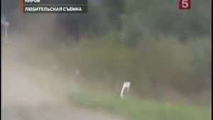 утопленник