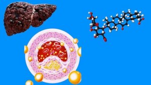 Поразительные свойства корня солодки и закулисные игры фарминдустрии