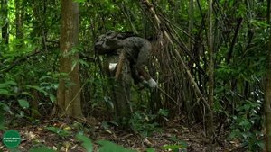 Grandpa had lung cancer, Tieu Ca was patiently waiting for me