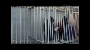 Завершено расследование уголовного дела в отношении лидера Братской ОПГ Вадима Молякова
