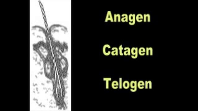 Laser Epilation Chapter 4 Post Treatment смотреть онлайн