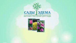 Сады-Эдема - интернет магазин растений для сада и дачи