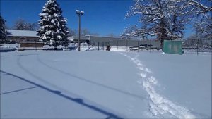 Snow Max!