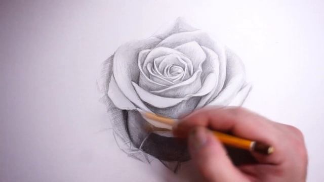 Как нарисовать РОЗУ карандашом смотреть онлайн