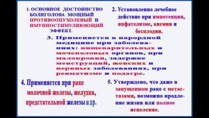 Настой болиголова