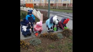 труд в природе 7