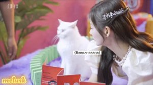 [русская озвучка] NMIXX - "DICE" MV Behind