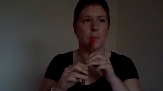 Swingin' Safari on tin whistle смотреть онлайн