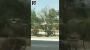 Жители Актау сняли на видео изнасилование женщины на улице