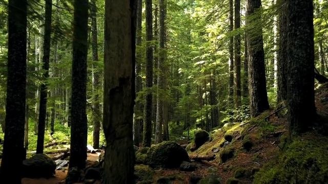 Ритуал от болезни! ОБРЯД ПЕРЕДАН ОТ ПРАБАБУШКИ! Сильные заговоры проверенные временем.