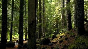 Ритуал от болезни! ОБРЯД ПЕРЕДАН ОТ ПРАБАБУШКИ! Сильные заговоры проверенные временем.