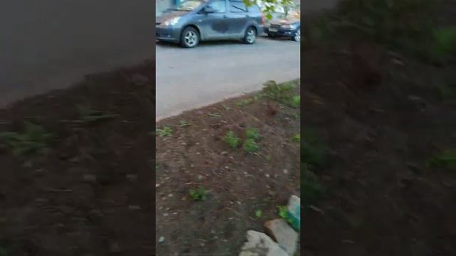 весна сирень смотреть онлайн