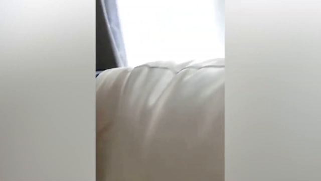 СМЕШНЫЕ КОШКИ 2022 И ДРУГИЕ ЖИВОТНЫЕ 24 МИНУТ СМЕХА СМЕШНЫЕ ЖИВОТНЫЕ 2022 ЛУЧШИЕ ПРИКОЛЫ С КОТАМИ смотреть онлайн