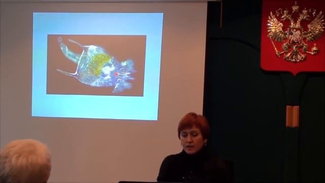 Наша кровь под микроскопом!   Тарасова Лариса Николаевна, 29 10 2017 смотреть онлайн