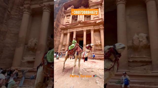 Petra, Jordan 🇯🇴    Осуществляем мечты.  Круиз по Красному морю на MSC Splendida 🚢 #cruise #travel