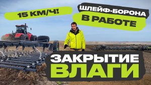 Закрытие влаги по падалице чечевицы. Шлейф-борона VELES БЗШ работает на Алтае