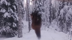 Я В ШОКЕ.ОНА СНОВА ПОПАЛАСЬ ???.mp4