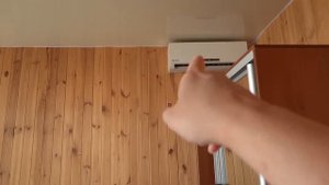 VLOG Никак не могла усадить их за стол