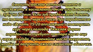Применение пихтового масла от различных недуг