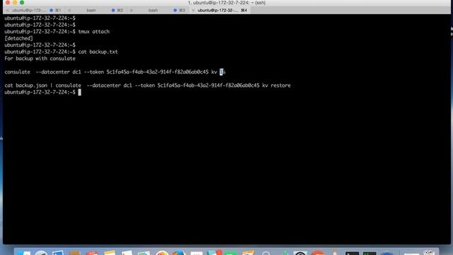 Consul Data Backup | How to take key value backup from consul | Hashicorp Consul Tutorial смотреть онлайн