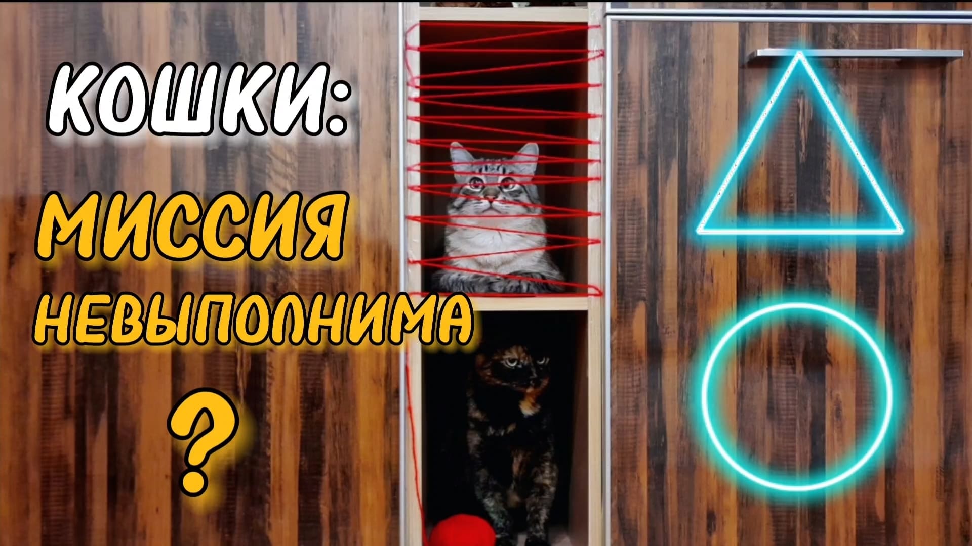 Кошки: Миссия невыполнима | Челлендж