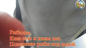 Рыбалка. Клев есть и нет. Поведение рыбы под водой.