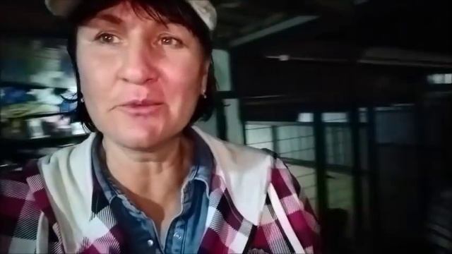 Суббота прошла незаметно смотреть онлайн