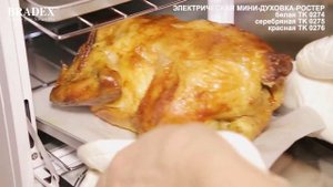 Электрическая мини духовка ростер