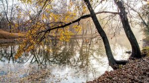 Зинаида Миркина - читает священник Вячеслав Власенко (Радислав Гуслин)