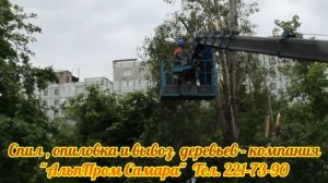 Спил, опиловка и вывоз деревьев в Самаре