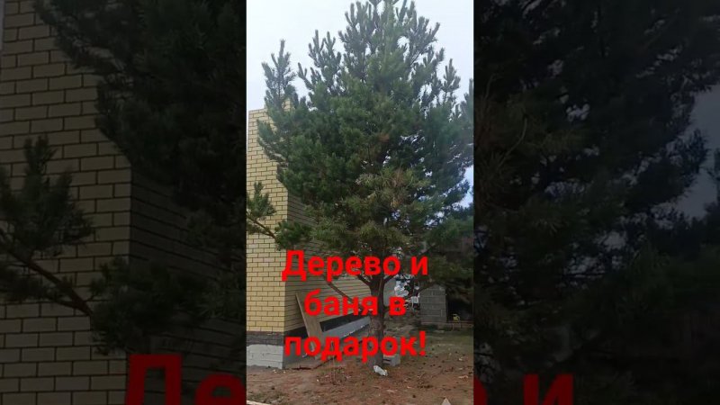 Купить дом по льготной ипотеке в Винзилях. Баня в подарок