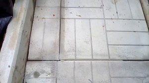 Почему растёт трава между плиткой на кладбище