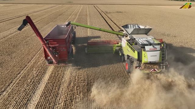 урожай пшеницы 2022 - 4 комбайна Fendt, Claas, JD Тракторы Сельское хозяйство Сбор пшеницы 4К - 1ЖЖ