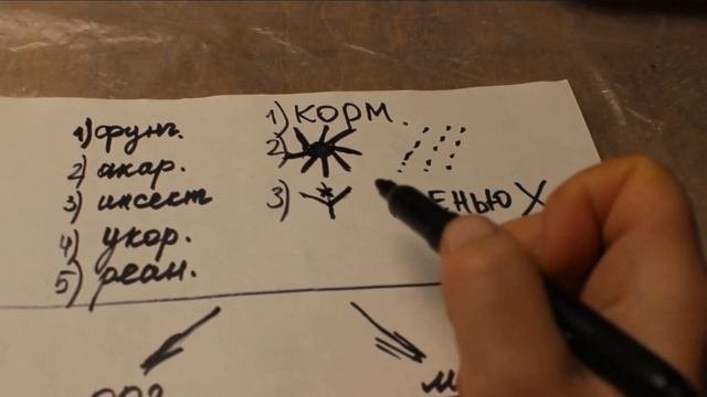 2. РОЗЫ от А до Я ?Шпаргалка для начинающих.Органика или минералка.Слепые и базальные.Повадки роз.