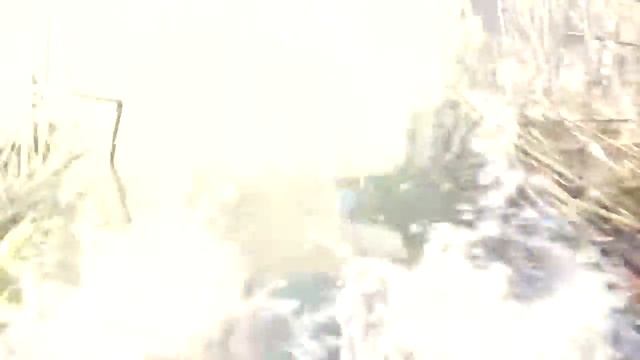 Запретная зона Ивангай смотреть онлайн