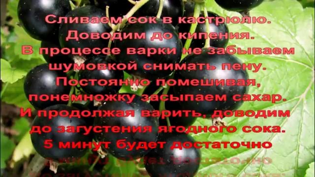 Желе из черной смородины смотреть онлайн