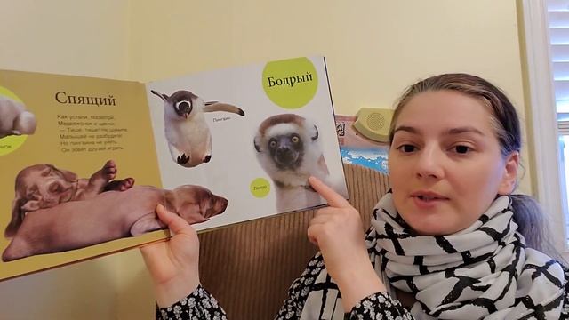 День 18 читаем книги - Сходства и Различия смотреть онлайн