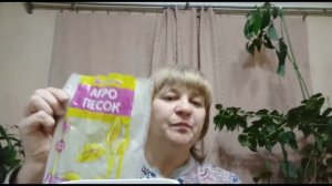 как прорастить косточки кизила